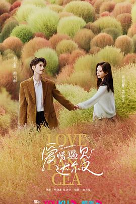 怎么用seo做推广优化